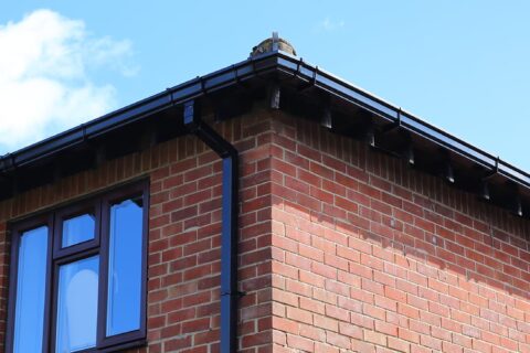 Guttering Caister-on-Sea NR30