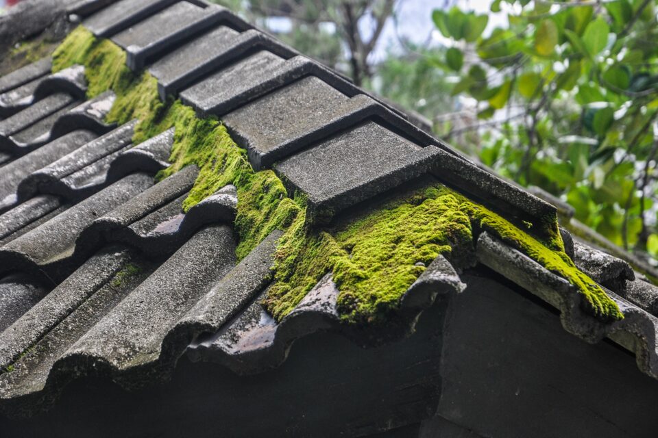 Roof cleaning companies near me Fairlands